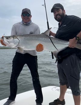 Tarpon fishing in Carolina, Carolina