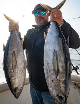 Blackfin Tuna fishing in Galveston, Texas