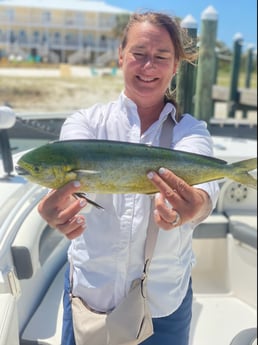 Mahi Mahi / Dorado fishing in Pensacola, Florida