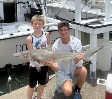 Blacktip Shark Fishing in Destin, Florida