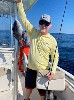 Triggerfish fishing in Pensacola, Florida