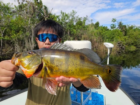 Fishing in Fort Lauderdale, Florida