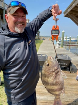 Sheepshead Fishing in Gulf Shores, Alabama