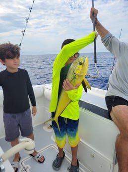 Mahi Mahi / Dorado fishing in Fort Lauderdale, Florida