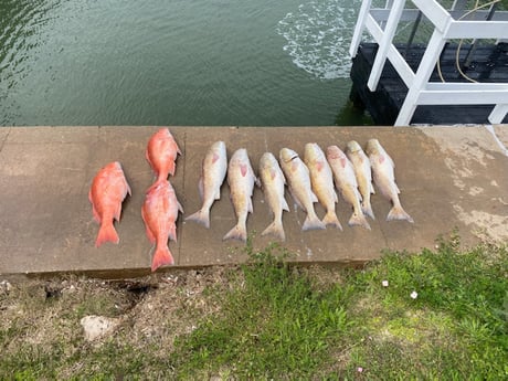 Redfish fishing in Freeport, Texas