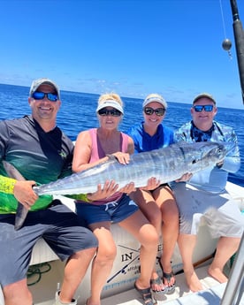 Wahoo fishing in Sarasota, Florida