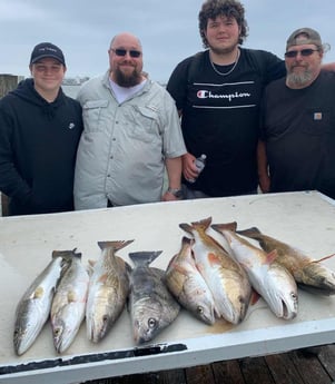 Black Drum, Redfish, Speckled Trout / Spotted Seatrout fishing in Galveston, Texas