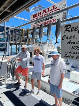 Blackfin Tuna, Mahi Mahi / Dorado fishing in Islamorada, Florida