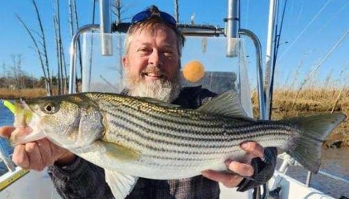 Striped Bass Fishing in Trails End Road, Wilmington, N, North Carolina