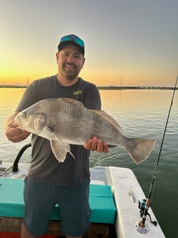 Black Drum Fishing in Corpus Christi, Texas