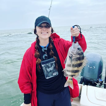 Sheepshead fishing in Galveston, Texas