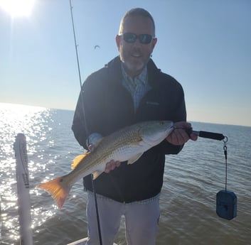 Redfish fishing in Galveston, Texas