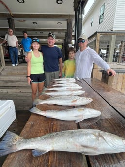 Speckled Trout / Spotted Seatrout fishing in Galveston, Texas