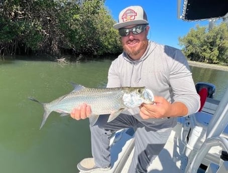 Tarpon Fishing in Sarasota, Florida