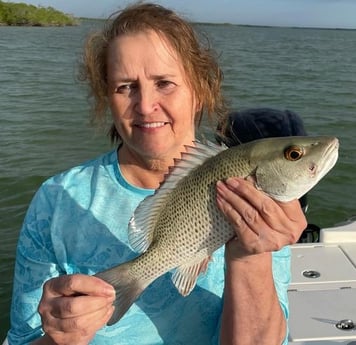 Mangrove Snapper Fishing in Key Largo, Florida