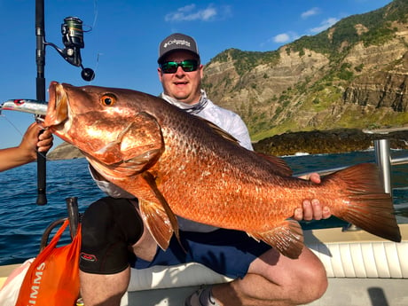 Fishing in Puerto Vallarta, Mexico