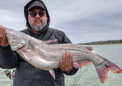 Blue Catfish fishing in Dallas, Texas