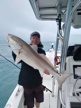 Redfish fishing in Clearwater, Florida