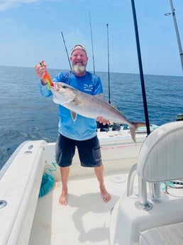 Fishing in Gulf Shores, Alabama