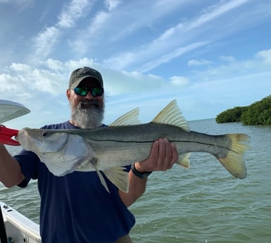 Snook fishing in Key Largo, Florida