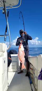 Red Snapper fishing in South Padre Island, Texas