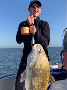 Black Drum fishing in Galveston, Texas