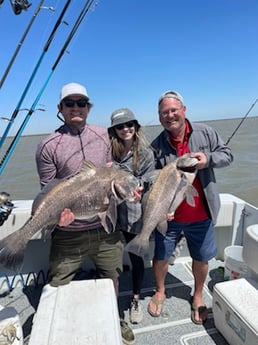 Sheepshead fishing in Galveston, Texas