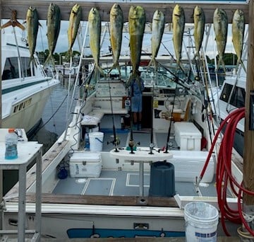 Mahi Mahi / Dorado Fishing in Key Largo, Florida