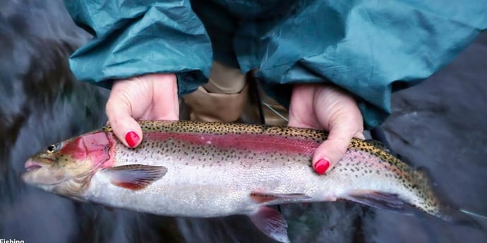 Rainbow Trout Fishing in Broken Bow, Oklahoma