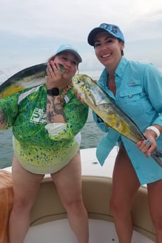 Mahi Mahi / Dorado fishing in Fort Lauderdale, Florida