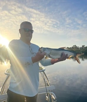 Tarpon Fishing in Palm Coast, Florida