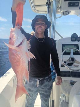 Red Snapper Fishing in Clearwater, Florida