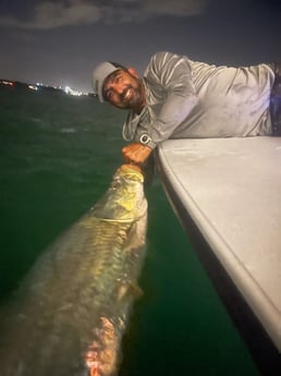 Snook fishing in Clearwater, Fl