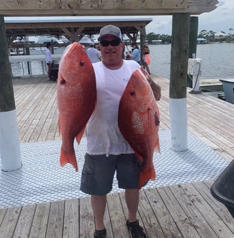 Red Snapper Fishing in Orange Beach, Alabama