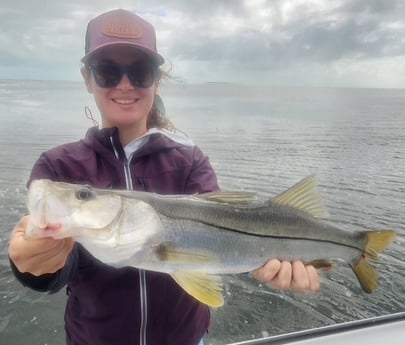 Snook Fishing in Islamorada, Florida