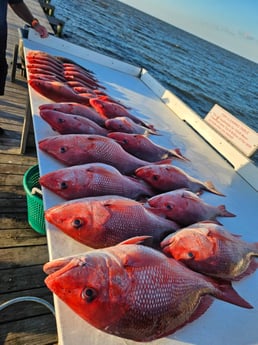 Fishing in Gulf Shores, Alabama