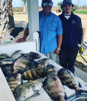 Sheepshead fishing in Galveston, Texas