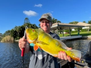 Peacock Bass fishing in Fort Lauderdale, Florida