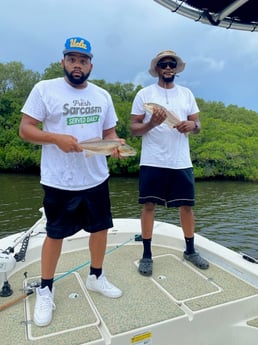 Fishing in St. Petersburg, Florida