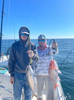 Amberjack, Red Snapper fishing in Santa Rosa Beach, Florida