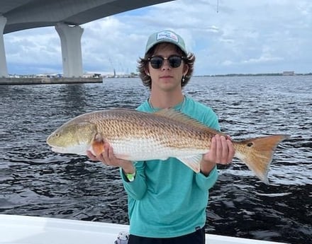 Amberjack fishing in Panama City, Florida