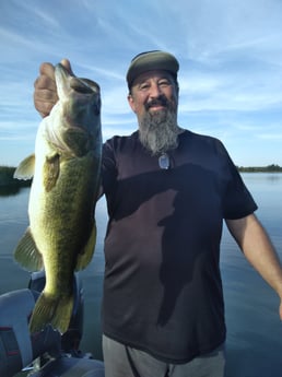 Largemouth Bass fishing in Austin, Texas