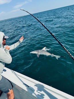 Blacktip Shark Fishing in Jacksonville, Florida