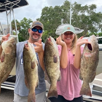 Gag Grouper fishing in St. Petersburg, Florida