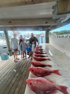 Fishing in Orange Beach, Alabama