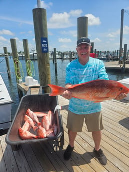 Red Snapper Fishing in Orange Beach, Alabama