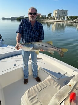 Snook Fishing in Clearwater, Florida