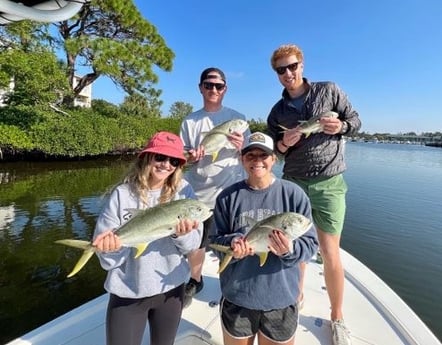 Jack Crevalle Fishing in Sarasota, Florida