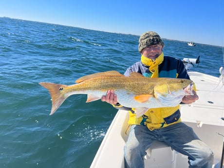 Redfish Fishing in Pensacola, Florida