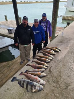 Black Drum, Redfish fishing in Port O&#039;Connor, Texas